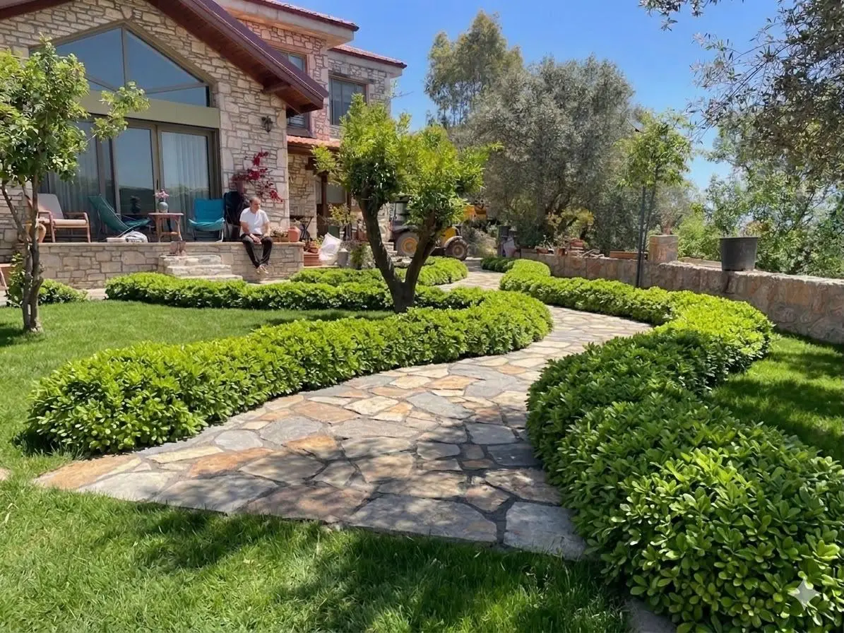 Home garden with green hedges and a natural stone path