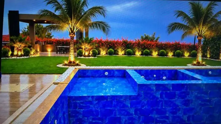 Evening light at a palm-lined pool