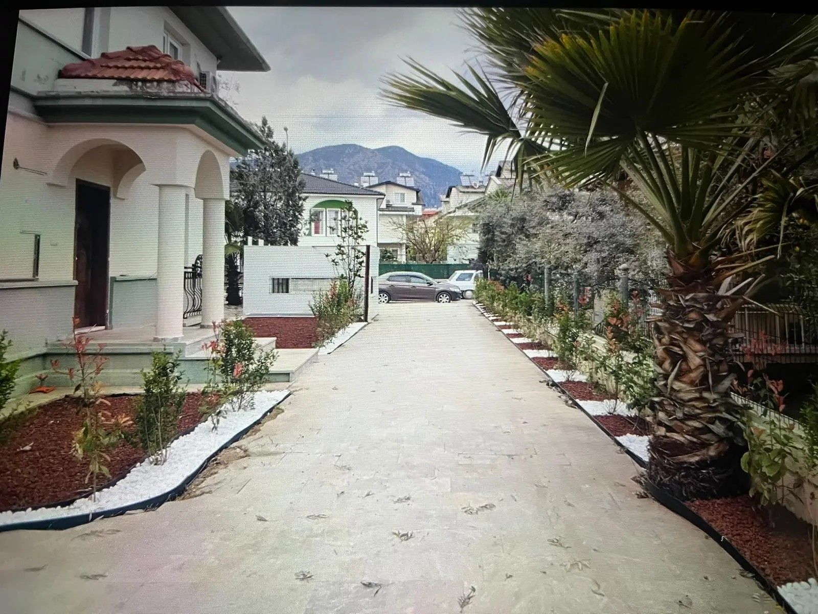 Paved driveway bordered by plants in front of a home